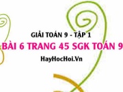 Giải bài 6 trang 45 SGK Toán 9 tập 1